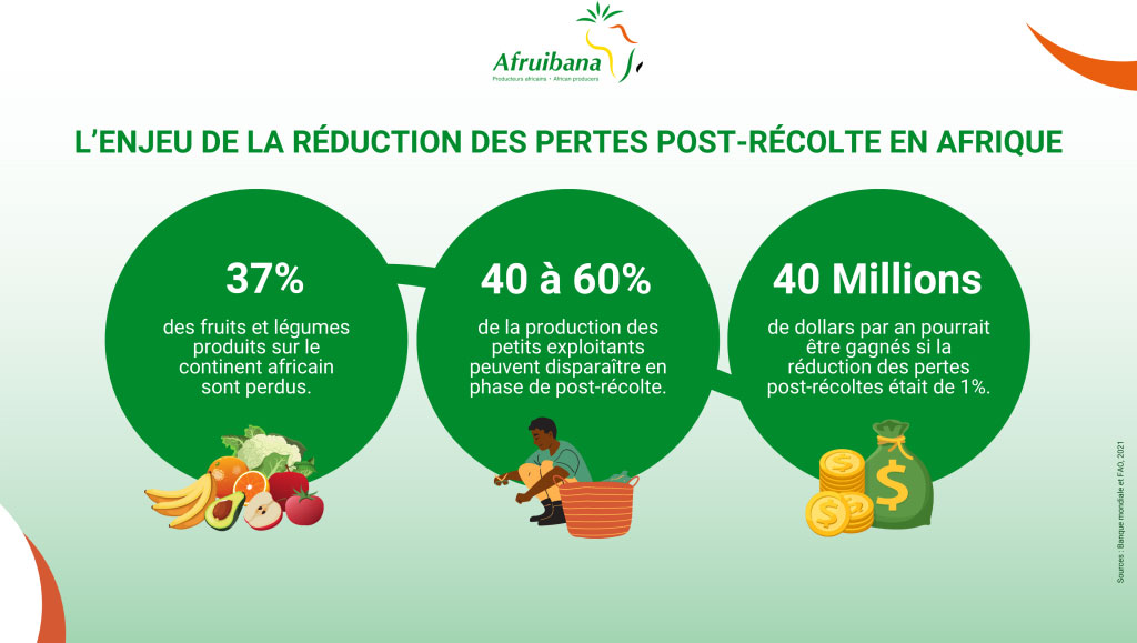 La banane en Afrique
